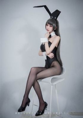 文豪野犬第2季免费观看全集_DVD视频大全